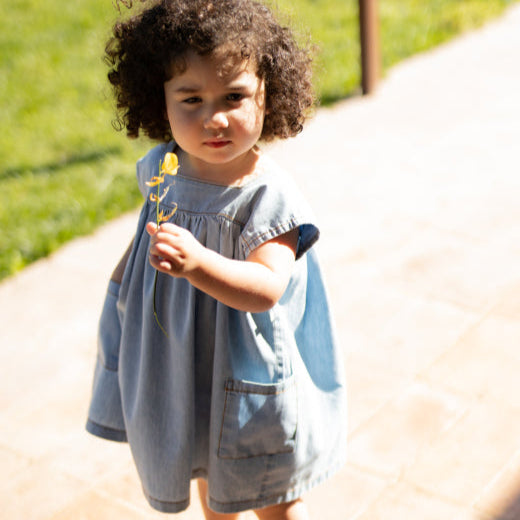 Carlotta Short Sleeved Denim Dress
